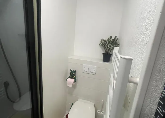 Dans La Maison Donasete Дом отдыха Vieille-Brioude